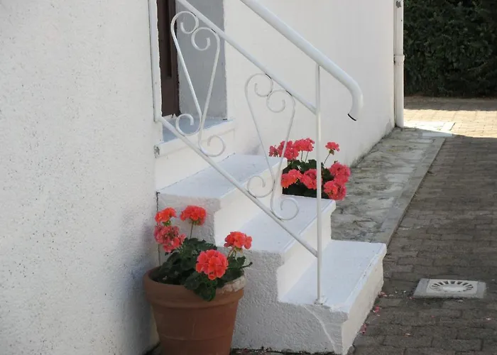Les Roses De Rita
