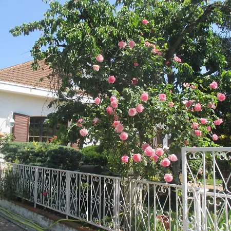 Les Roses De Rita Boisset-les-Montrond
