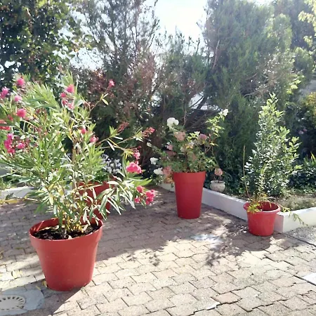 Homestay Les Roses De Rita Boisset-les-Montrond