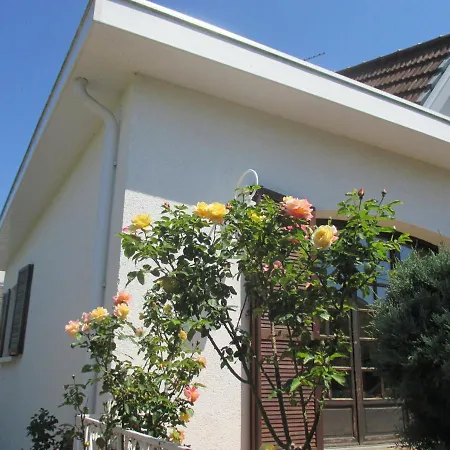 Homestay Les Roses De Rita Boisset-les-Montrond