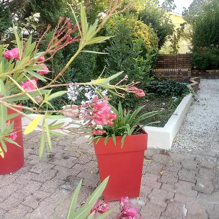 Les Roses De Rita Homestay *