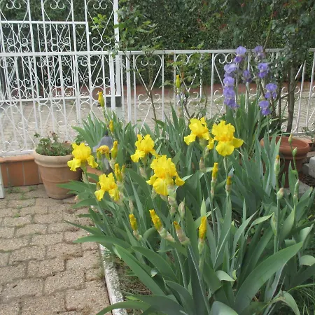 Les Roses De Rita Homestay *