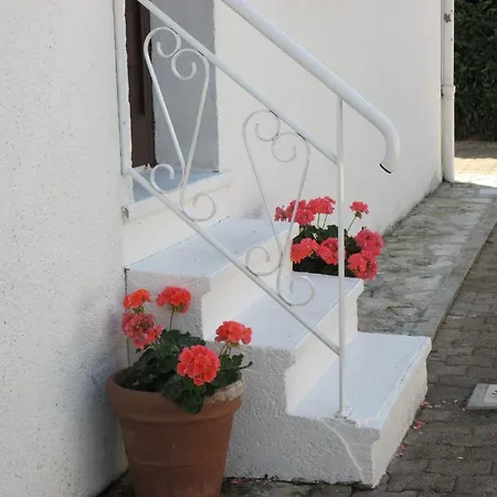 Les Roses De Rita
