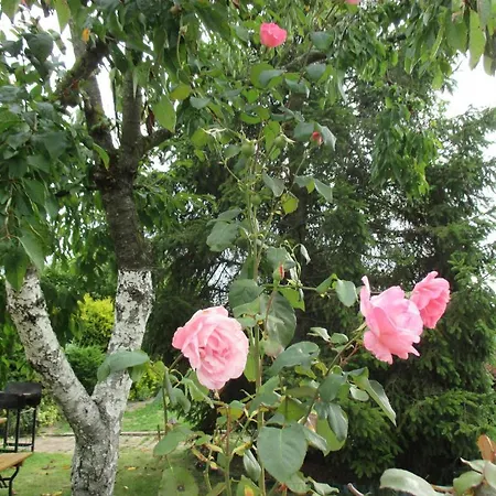 Les Roses De Rita Homestay