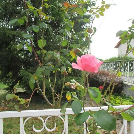 Les Roses De Rita